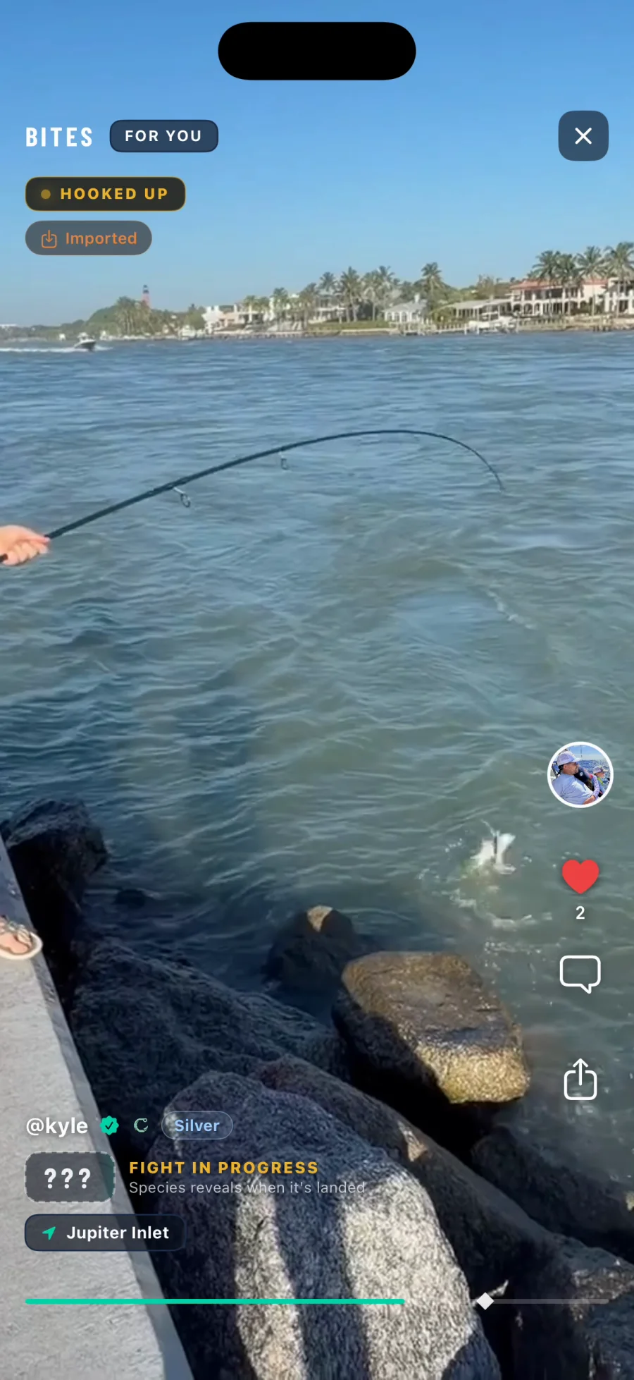 A Bite mid fight with the badge reading Hooked Up, the species hidden behind a card marked with question marks, and the caption Species reveals when it is landed