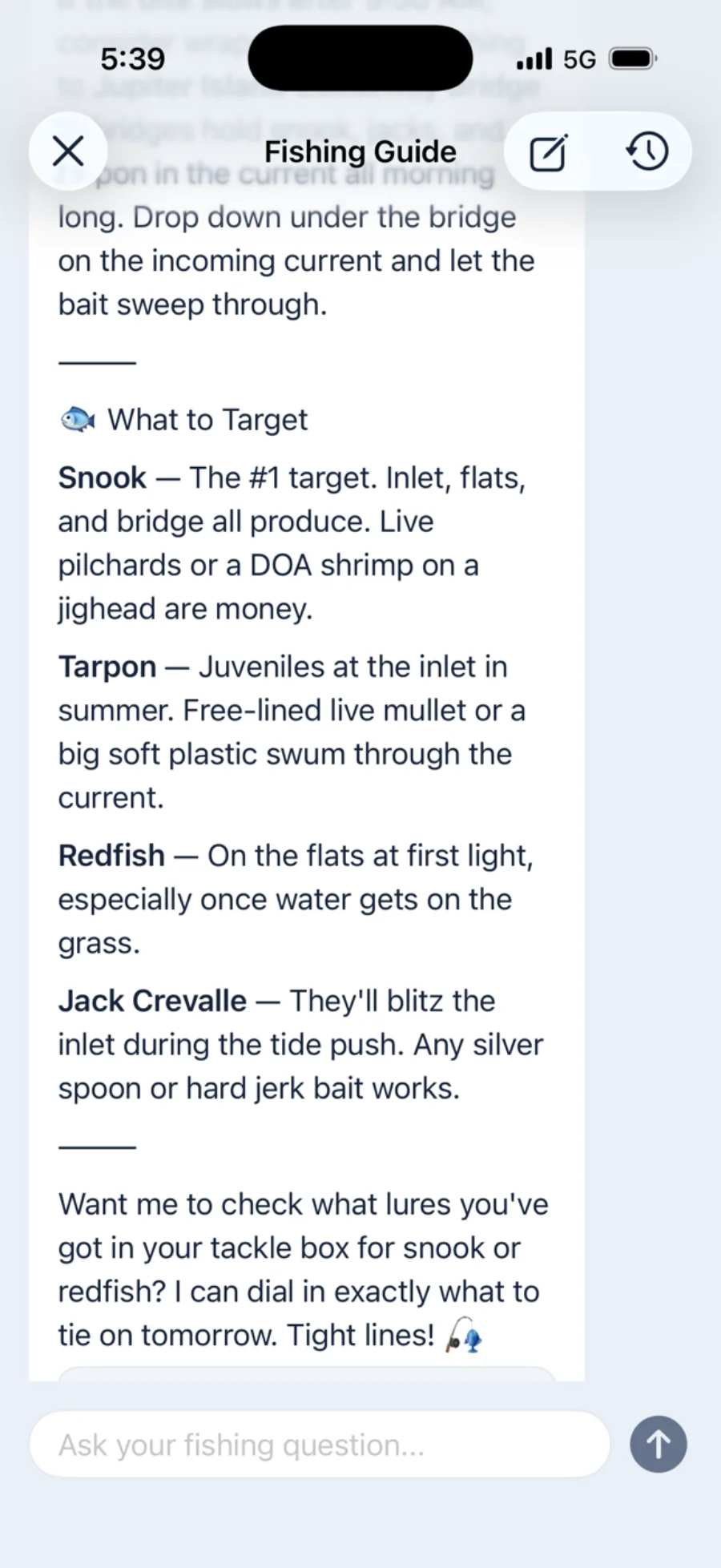The Cobia fishing guide answering a morning game plan request with snook, tarpon, redfish, and jack crevalle tactics