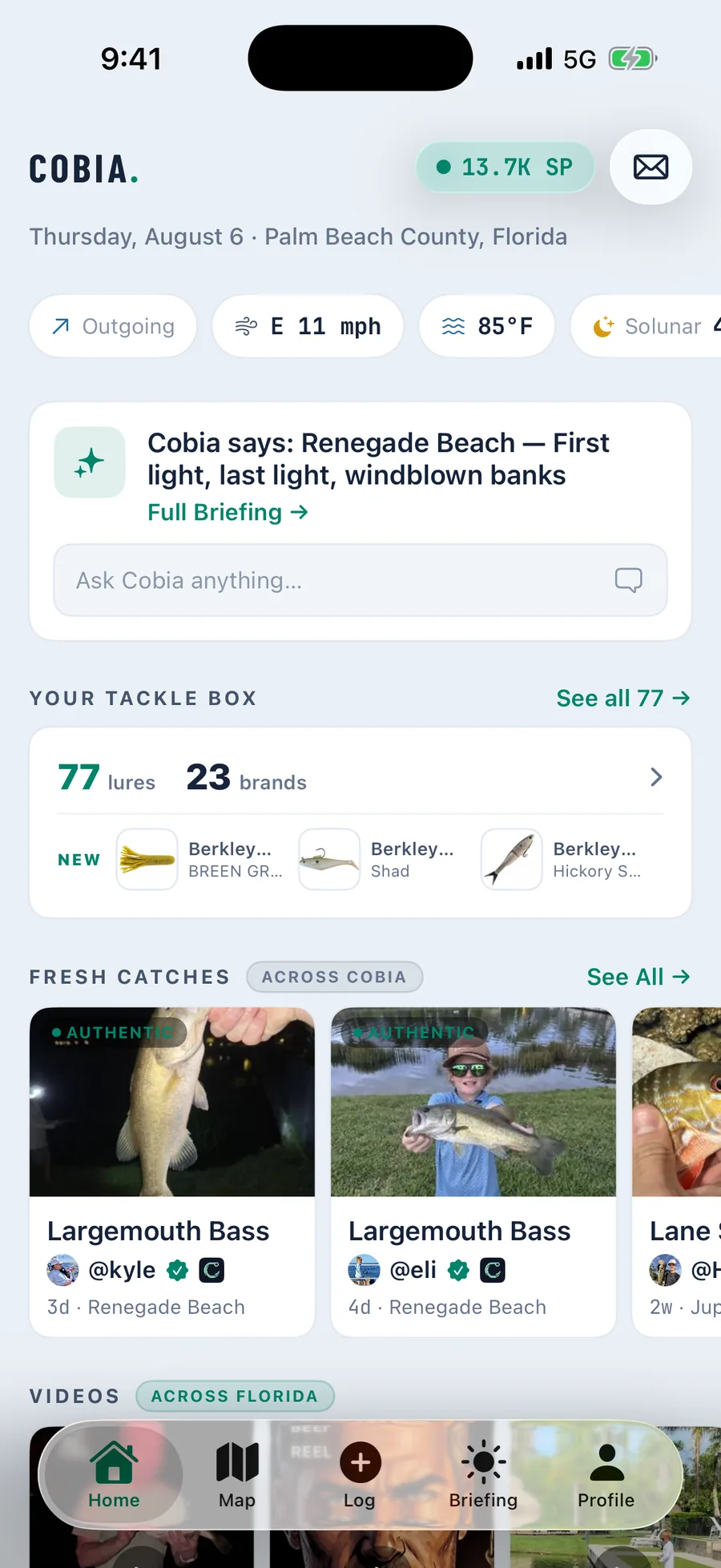 The Cobia feed showing recent catches from nearby anglers with species and conditions