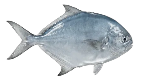 Harvestfish
