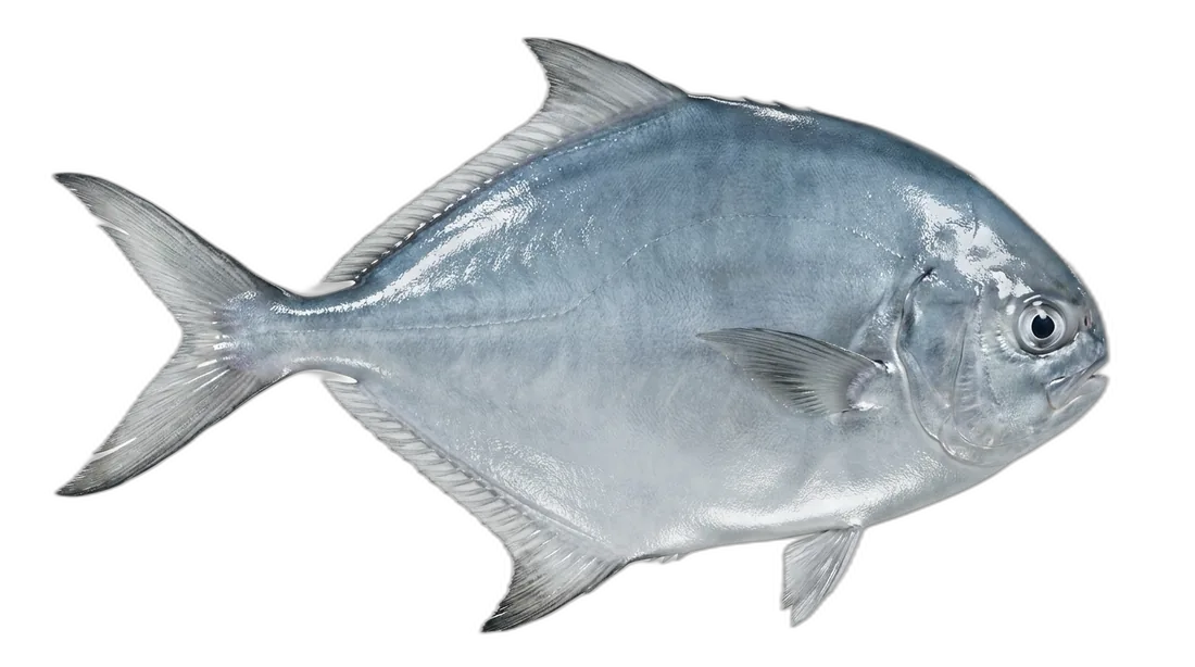 Harvestfish